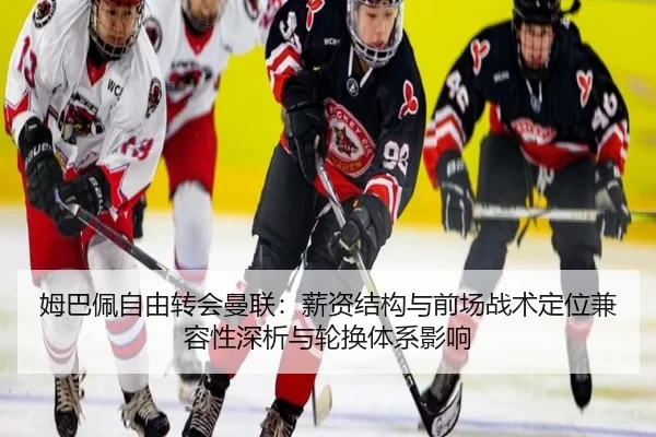 mu-ba-pei-zi-you-zhuan-hui-man-lian-xin-zi-jie-gou-yu-qian-chang-zhan-shu-ding-wei-jian-rong-xing-shen-xi-yu-lun-huan-2-417.jpg