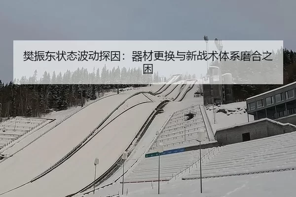 fan-zhen-dong-zhuang-tai-bo-dong-tan-yin-qi-cai-geng-huan-yu-xin-zhan-shu-ti-xi-mo-he-zhi-kun-3-372.jpg