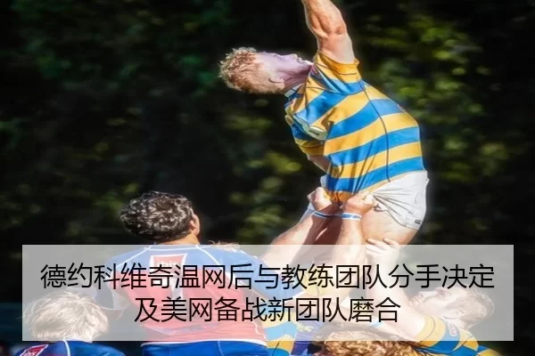 de-yue-ke-wei-qi-wen-wang-hou-yu-jiao-lian-tuan-dui-fen-shou-jue-ding-ji-mei-wang-bei-zhan-xin-tuan-dui-mo-he-3-230.jpg